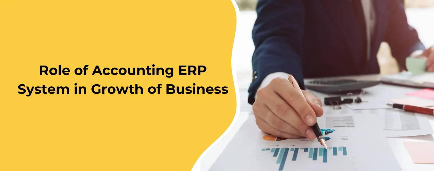 Role of Accounting ERP System in Growth of Business